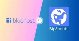 Moving to BigScoots from Bluehost